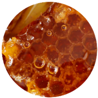 Beeswax